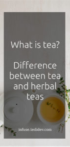 C'est quoi le thé - C'est quoi la différence entre le thé et les tisanes_en